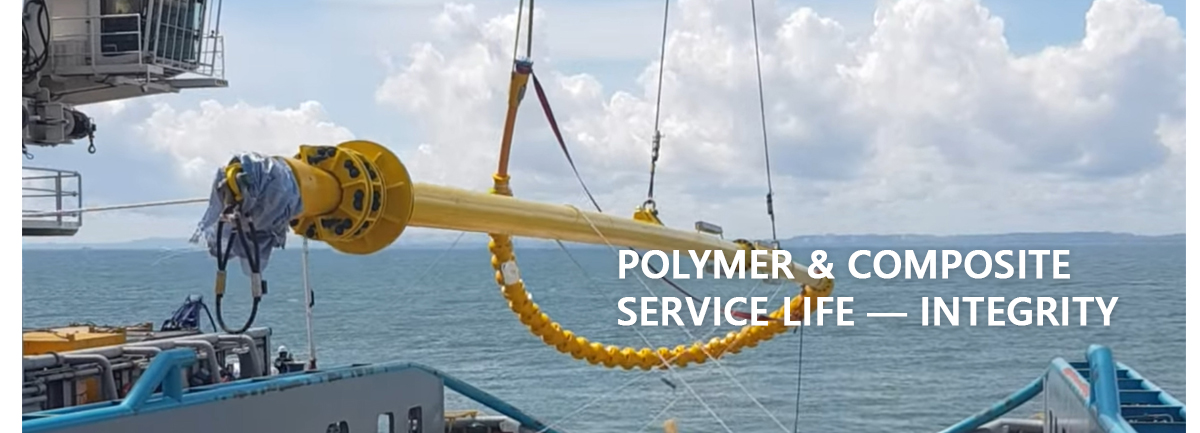 Polymer and composite service life and integrity engineering